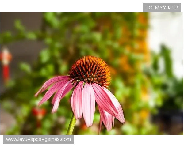 -¦-ß+=¦+¦¥+³+¥-À¦+Î¬+ß¦Û-§ú¼ÎÒ¦¦Î¬+ßÀþÈãÈ+¤ã©¯¦¦